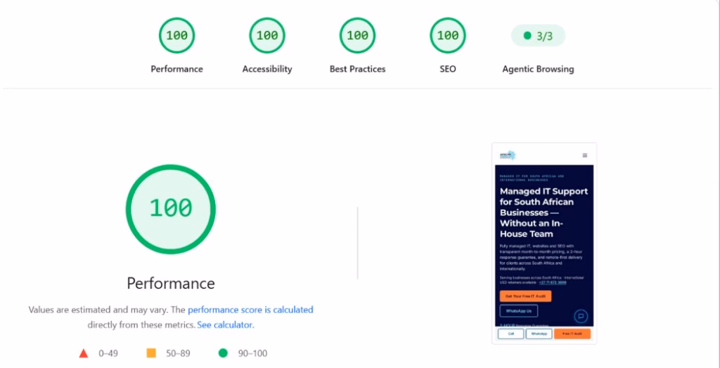 PageSpeed Insights mobile report showing 100 scores for Performance, Accessibility, Best Practices and SEO, with Agentic Browsing 3/3 and a phone preview of the African Vanilla homepage